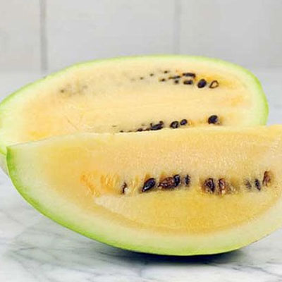 Cocomero del Deserto