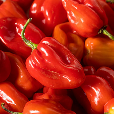 Peperoncino Habanero