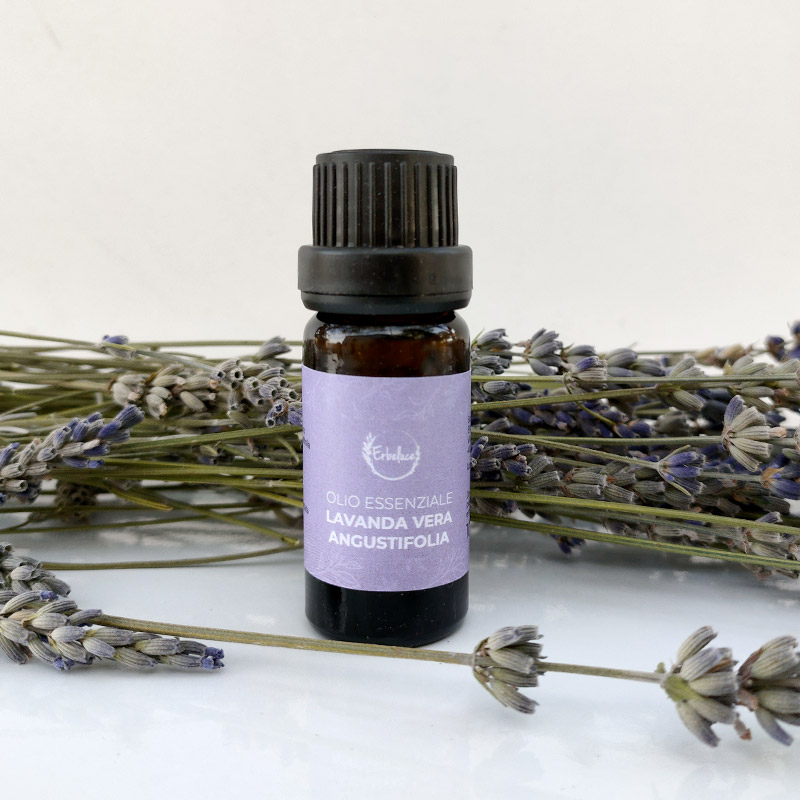 olio essenziale di lavanda