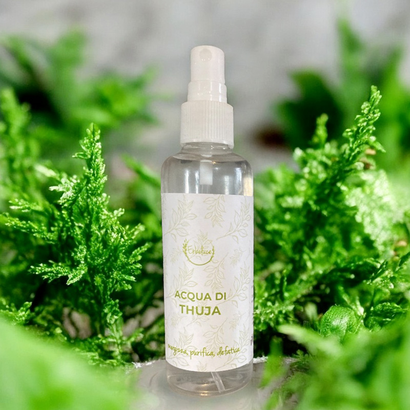 idrolato Thuja occidentalis