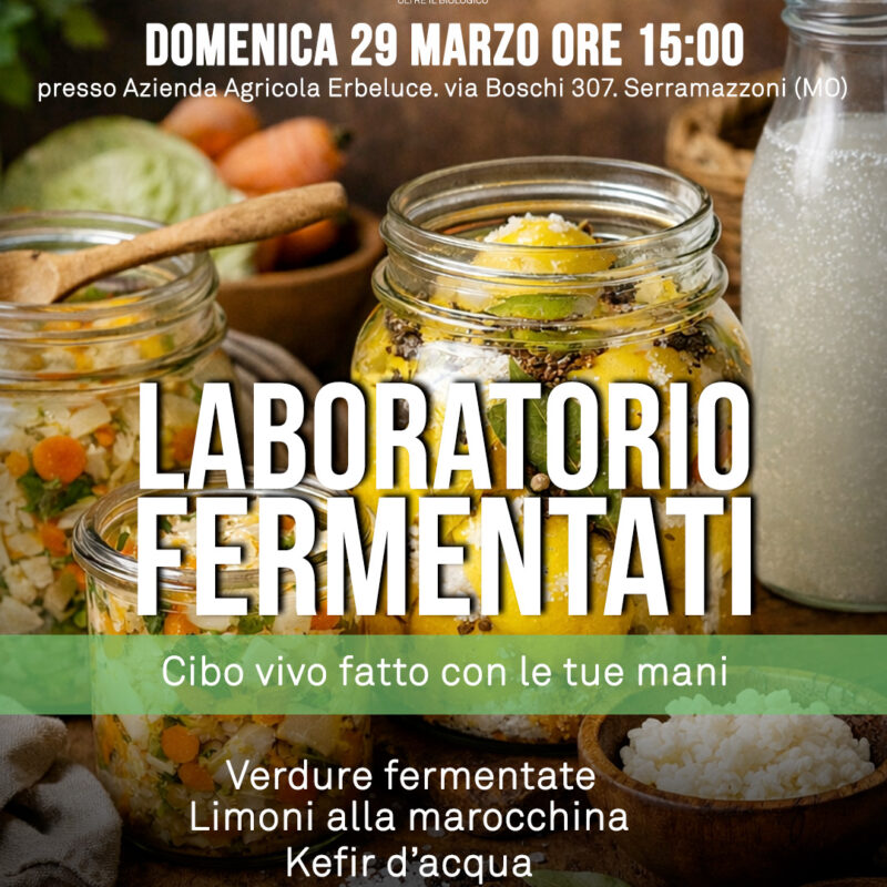 Laboratorio Fermentati
