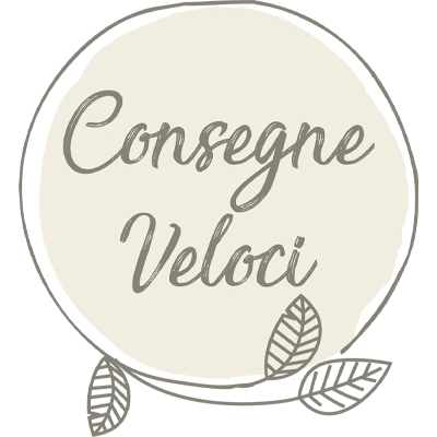 Consegna-veloci